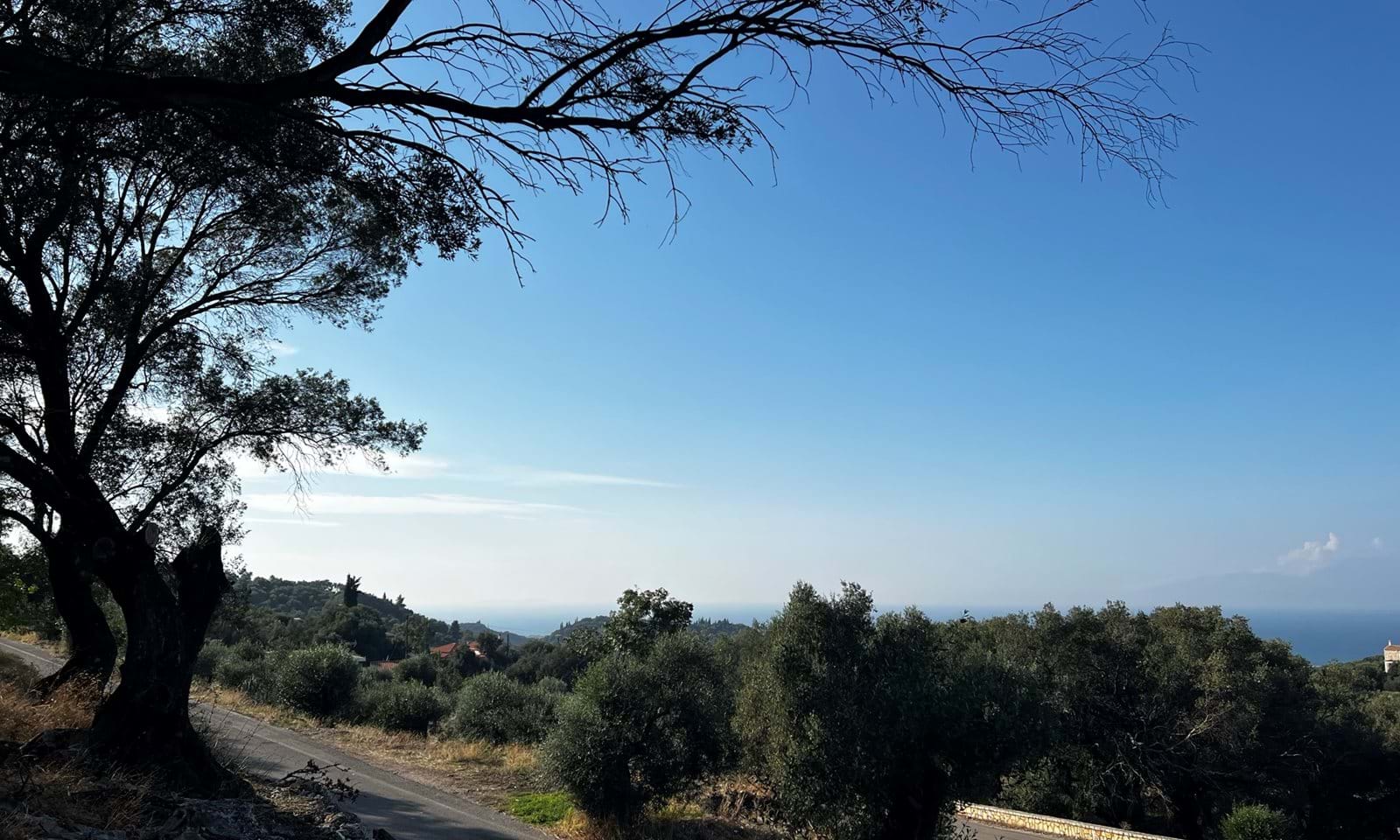 Listing photograph 2 of 5 of the land in Perithia, published by Corfu Home Finders.