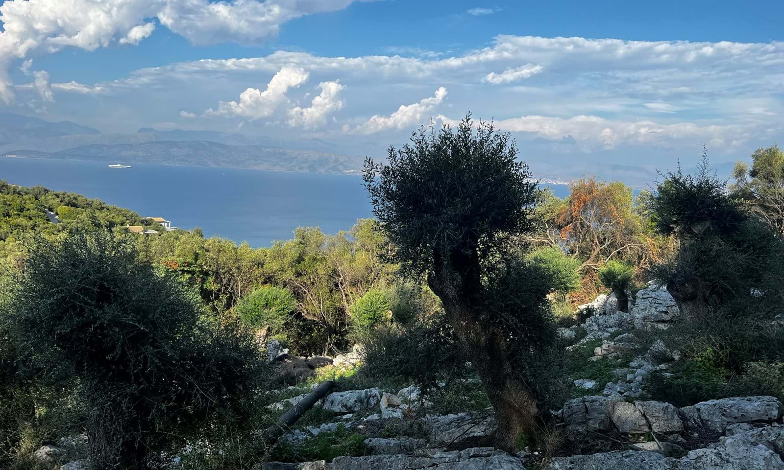 Listing photograph 1 of 5 of the land in Perithia, published by Corfu Home Finders.