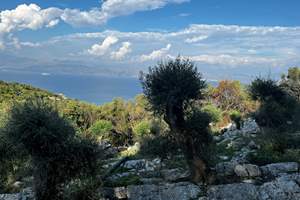 PETRA LAND, Perithia, Corfu