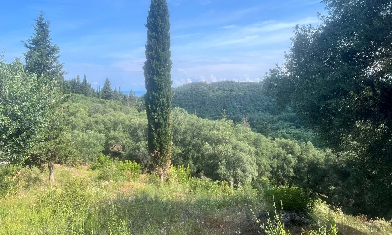 Listing photograph 1 of 6 of the land in Agios Pantaleimonas, published by Corfu Home Finders.