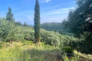 DIAMOND LAND, Agios Pandeleimonas, Corfu