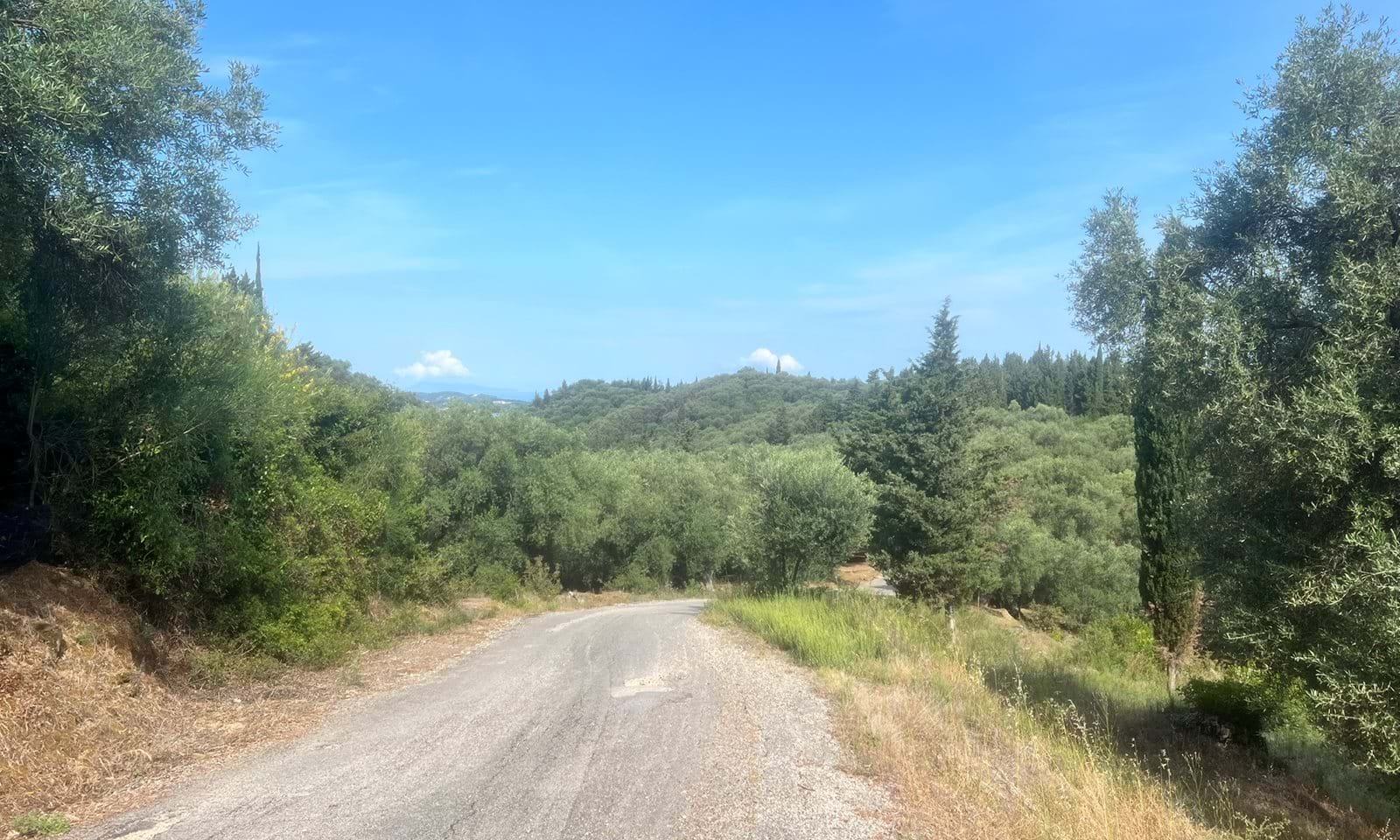 Listing photograph 4 of 6 of the land in Agios Pantaleimonas, published by Corfu Home Finders.