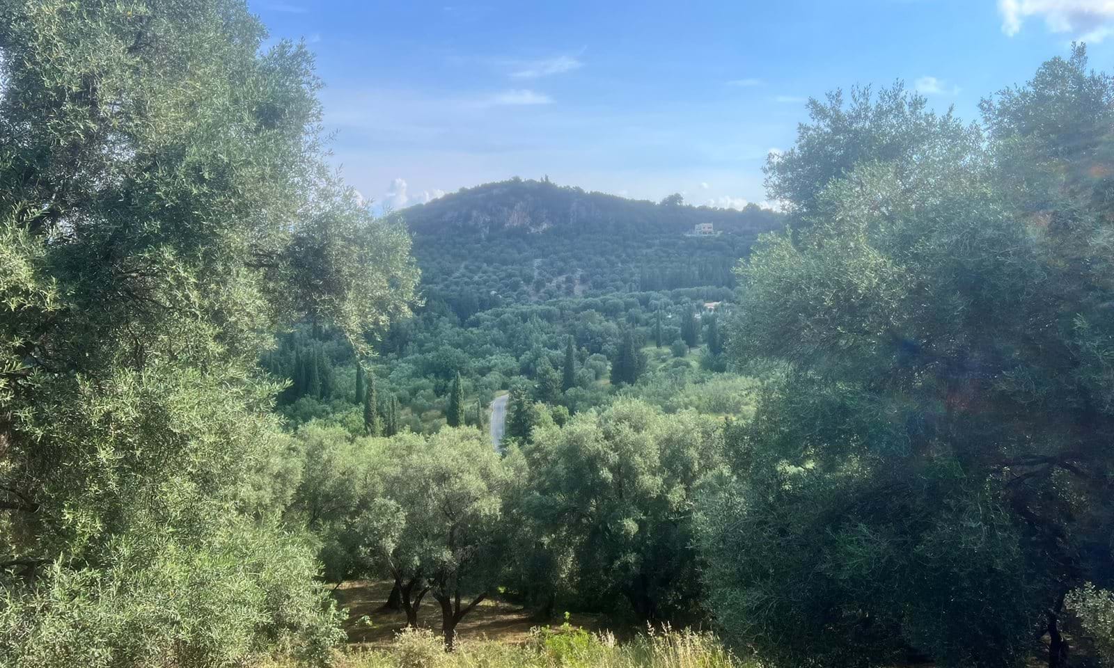 Listing photograph 2 of 6 of the land in Agios Pantaleimonas, published by Corfu Home Finders.