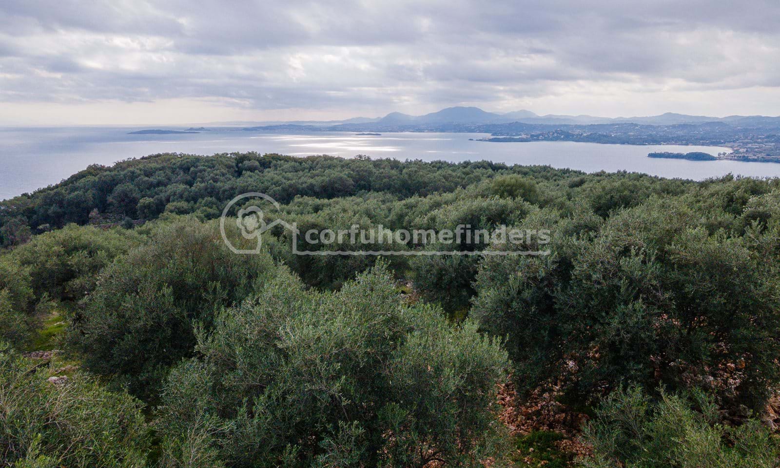 Listing photograph 1 of 4 of the land in Spartilas, published by Corfu Home Finders.