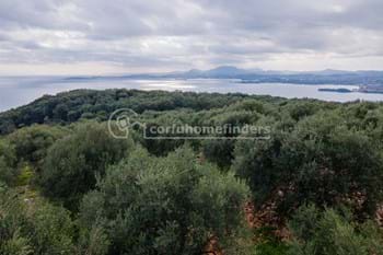 Image for property: 20830