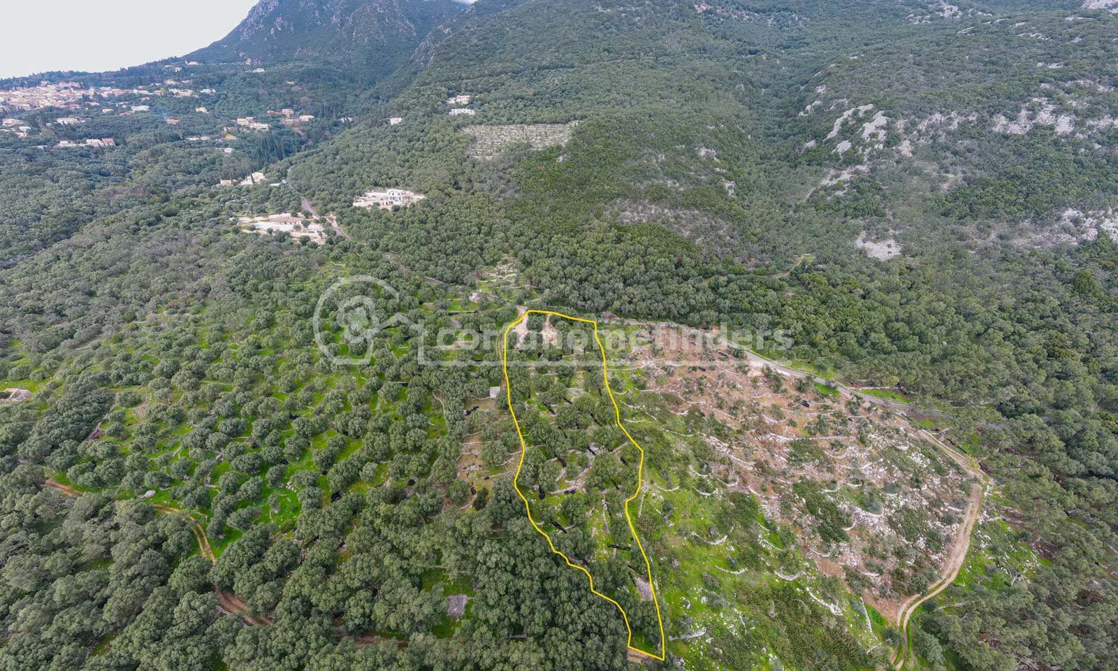 Listing photograph 2 of 4 of the land in Spartilas, published by Corfu Home Finders.
