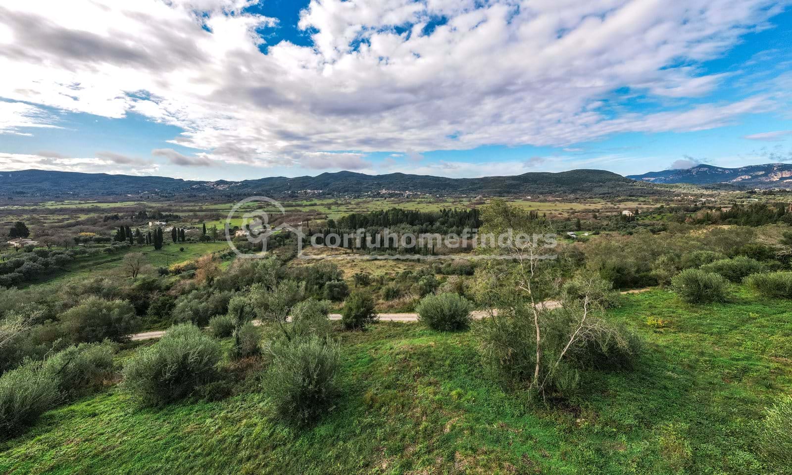 Listing photograph 4 of 6 of the land in Giannades, published by Corfu Home Finders.