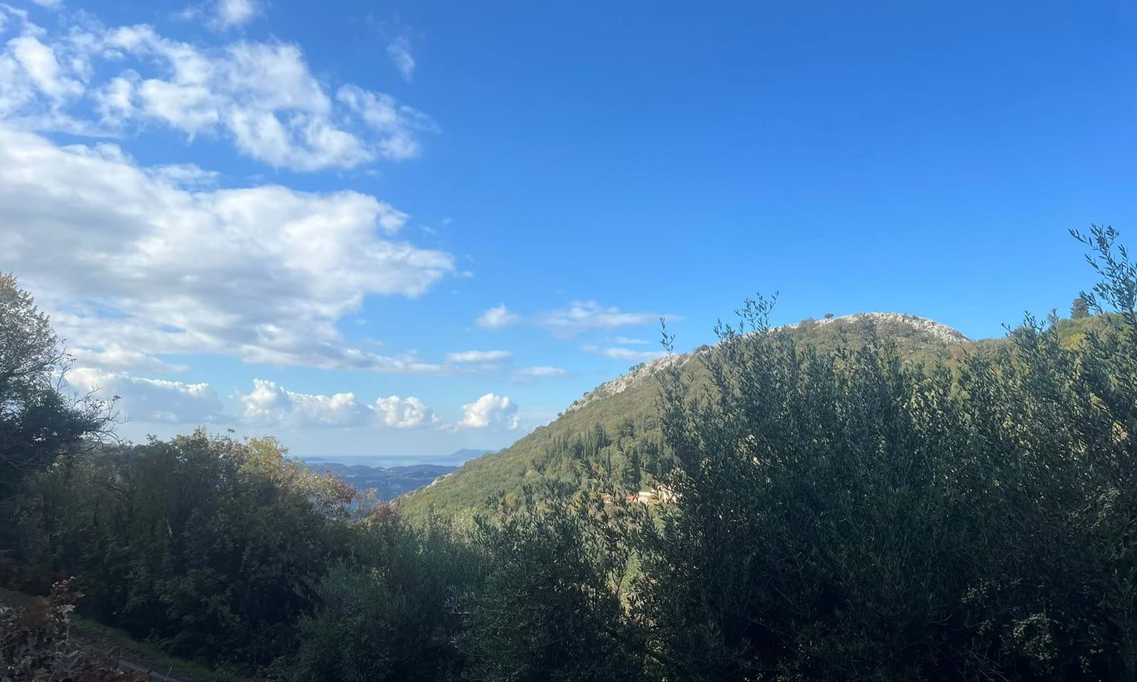 Listing photograph 2 of 4 of the land in Lafki, published by Corfu Home Finders.