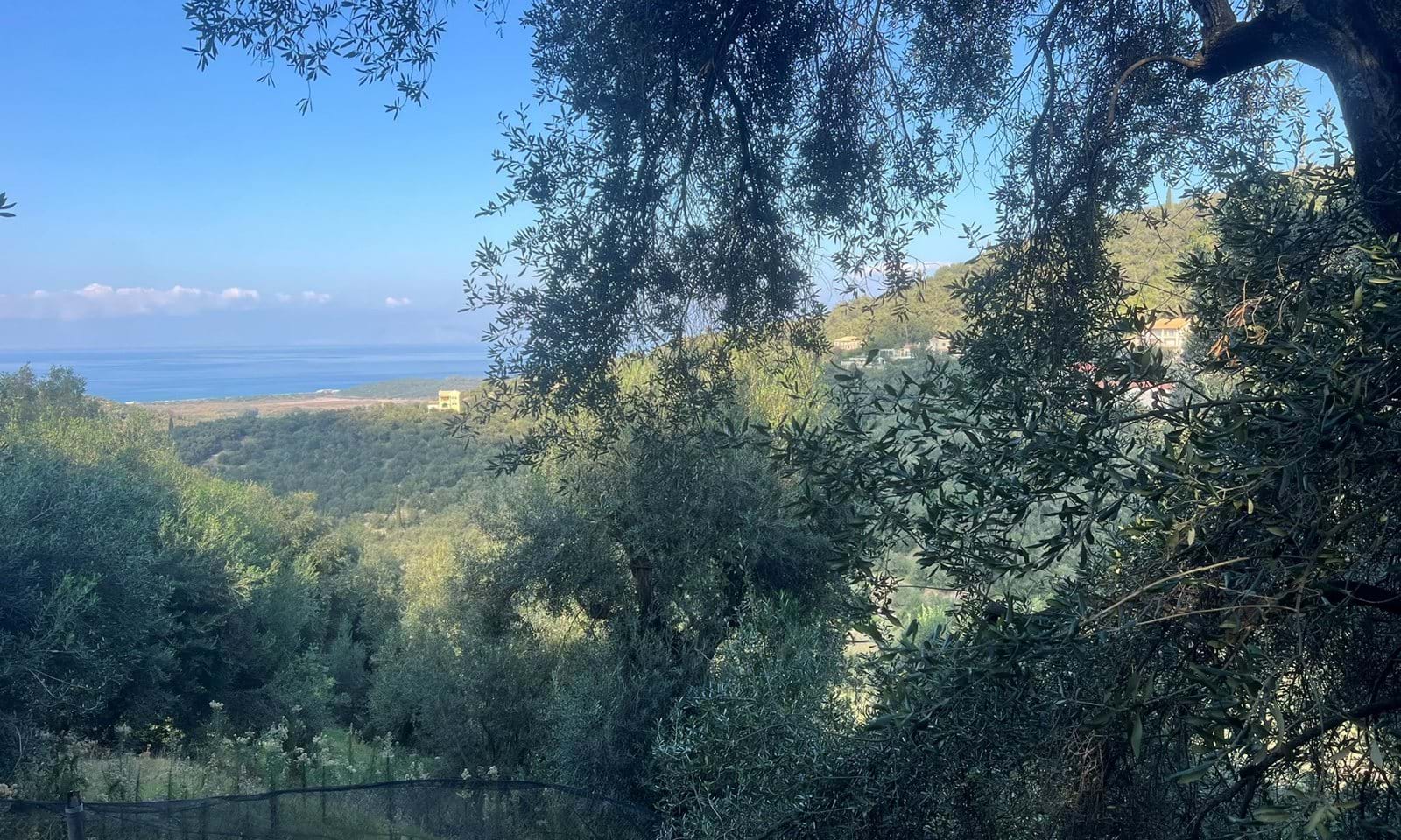 Listing photograph 4 of 7 of the land in Agios Martinos, published by Corfu Home Finders.