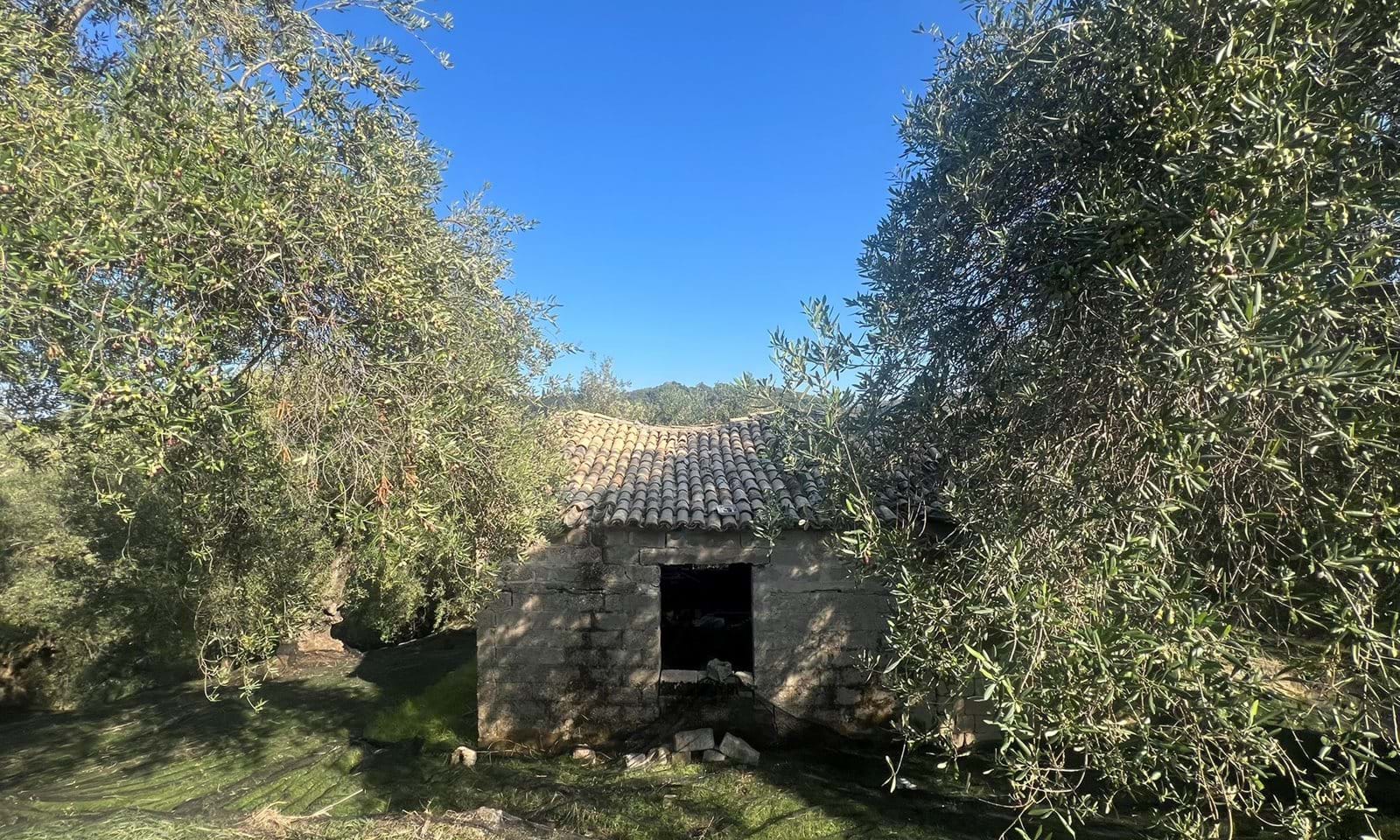 Listing photograph 7 of 7 of the land in Agios Martinos, published by Corfu Home Finders.