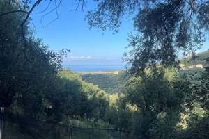 PEZOULIA LAND, Agios Martinos, Corfu