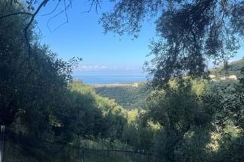 Image for property: 20859