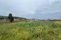 land - road