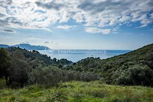 MIRTIOTISSA LAND, Mirtiotissa, Corfu