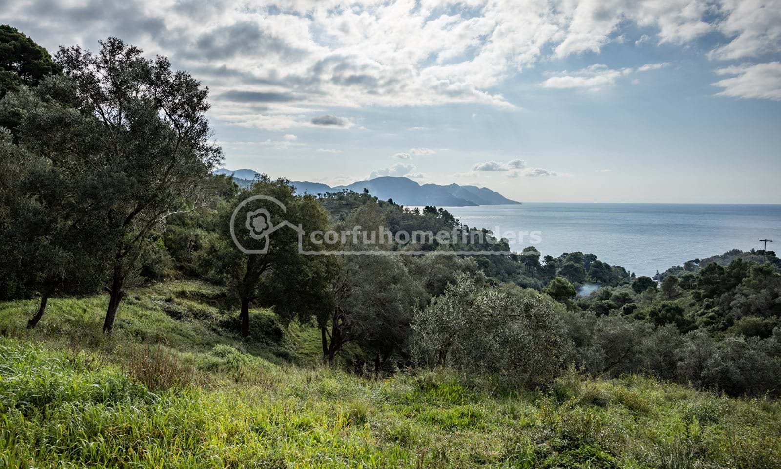 Listing photograph 2 of 7 of the land in Glyfada, published by Corfu Home Finders.