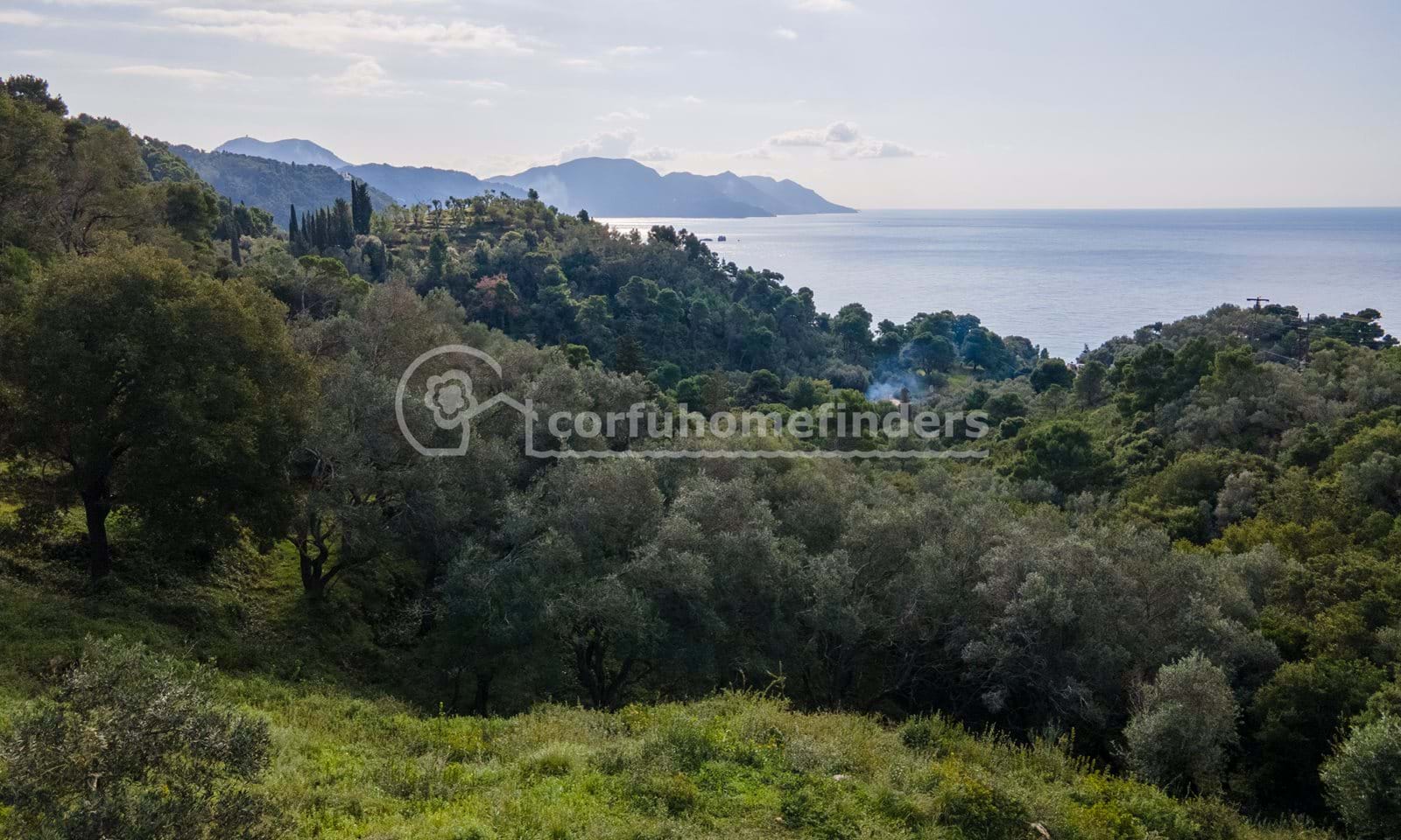 Listing photograph 3 of 7 of the land in Glyfada, published by Corfu Home Finders.