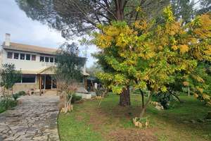 MIMOSA, Ano Messonghi, Corfu