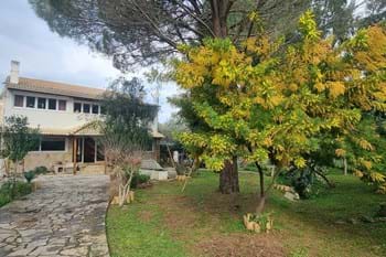 Image for property: 20871