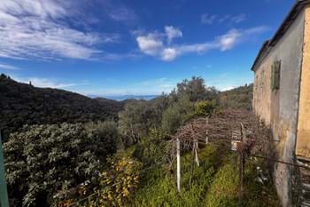 Image for property: 20873