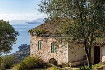 Image for property: 20874