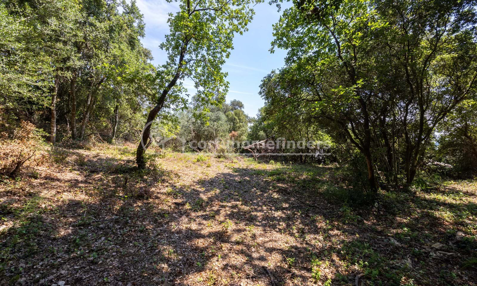 Listing photograph 7 of 8 of the land in Varypatades, published by Corfu Home Finders.