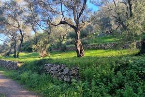EMERALD LAND, Agios Mattheos, Corfu