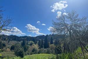 AGIA MARINA LAND, Kavadades, Corfu