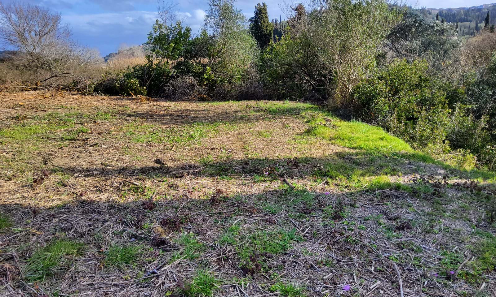 Listing photograph 5 of 7 of the land in Kavadades, published by Corfu Home Finders.