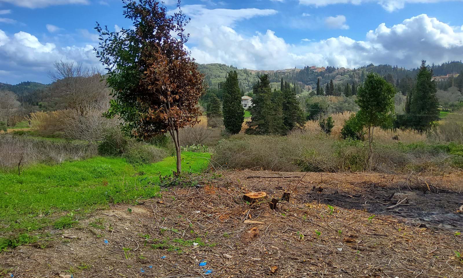 Listing photograph 3 of 7 of the land in Kavadades, published by Corfu Home Finders.