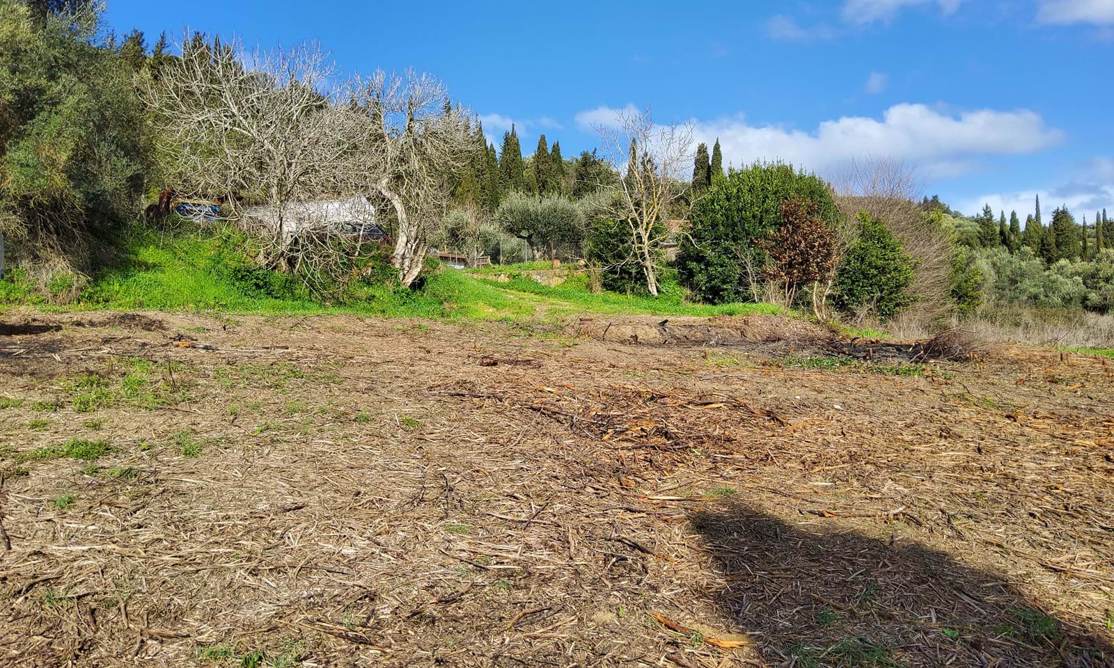 Listing photograph 6 of 7 of the land in Kavadades, published by Corfu Home Finders.