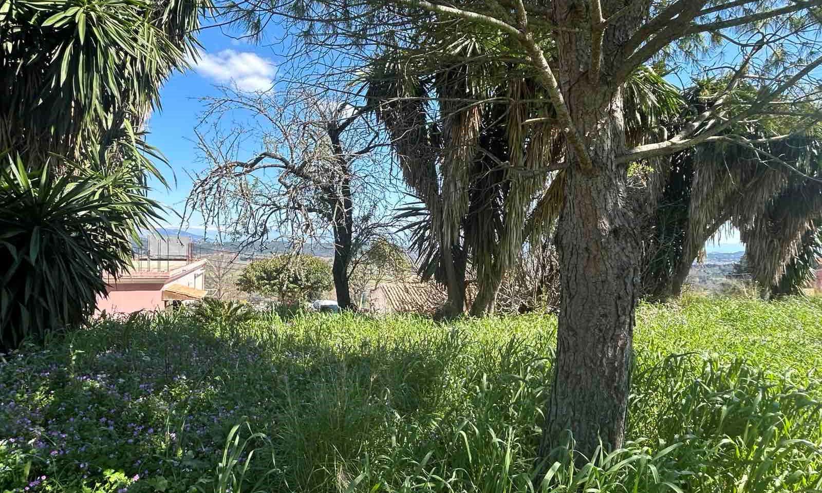 Listing photograph 8 of 8 of the house in Giannades, published by Corfu Home Finders.