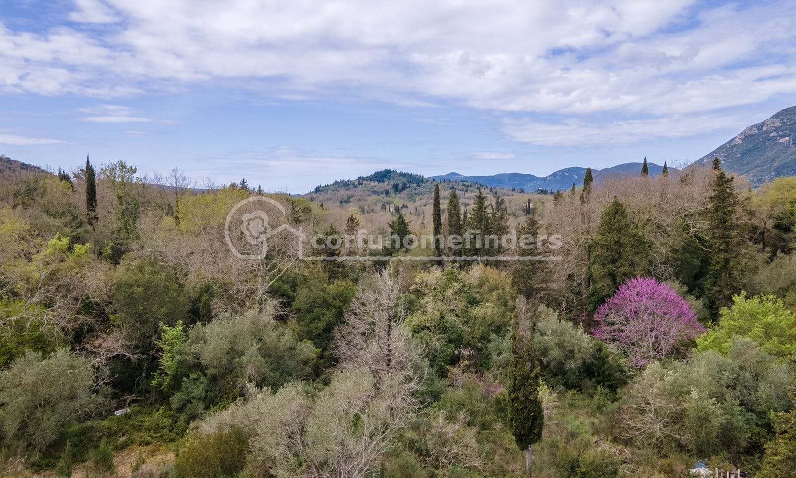 Listing photograph 2 of 6 of the land in Ano Korakiana, published by Corfu Home Finders.