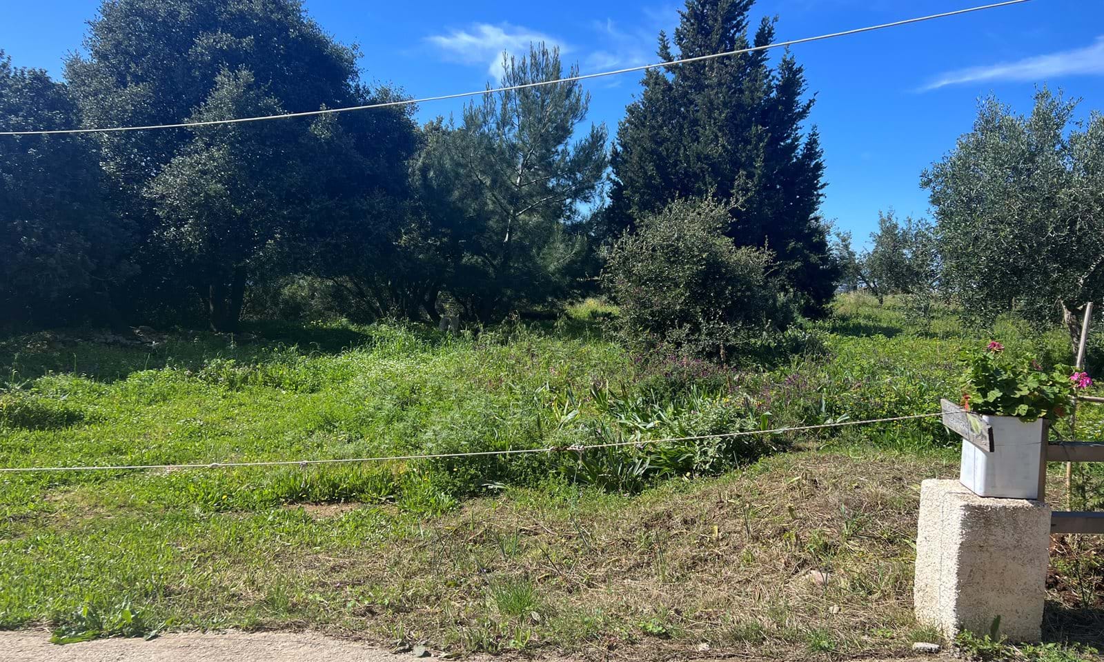 Listing photograph 4 of 6 of the land in Afionas, published by Corfu Home Finders.
