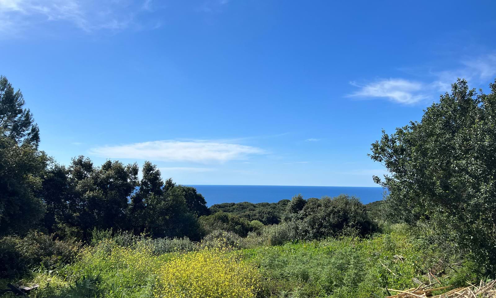 Listing photograph 3 of 6 of the land in Afionas, published by Corfu Home Finders.