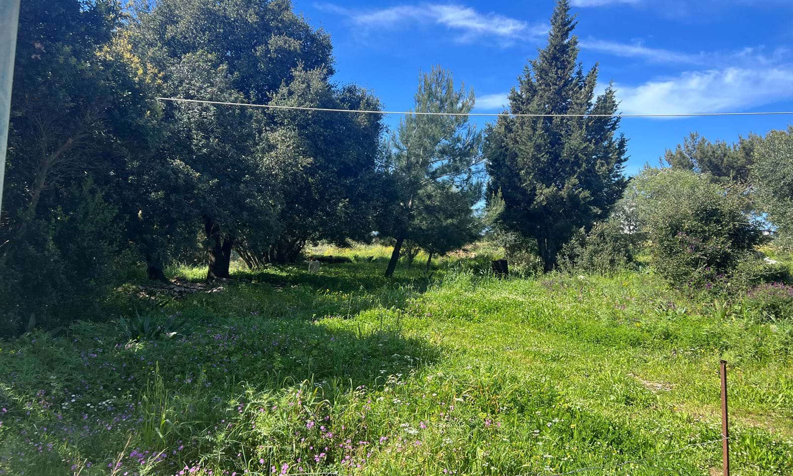 Listing photograph 6 of 6 of the land in Afionas, published by Corfu Home Finders.