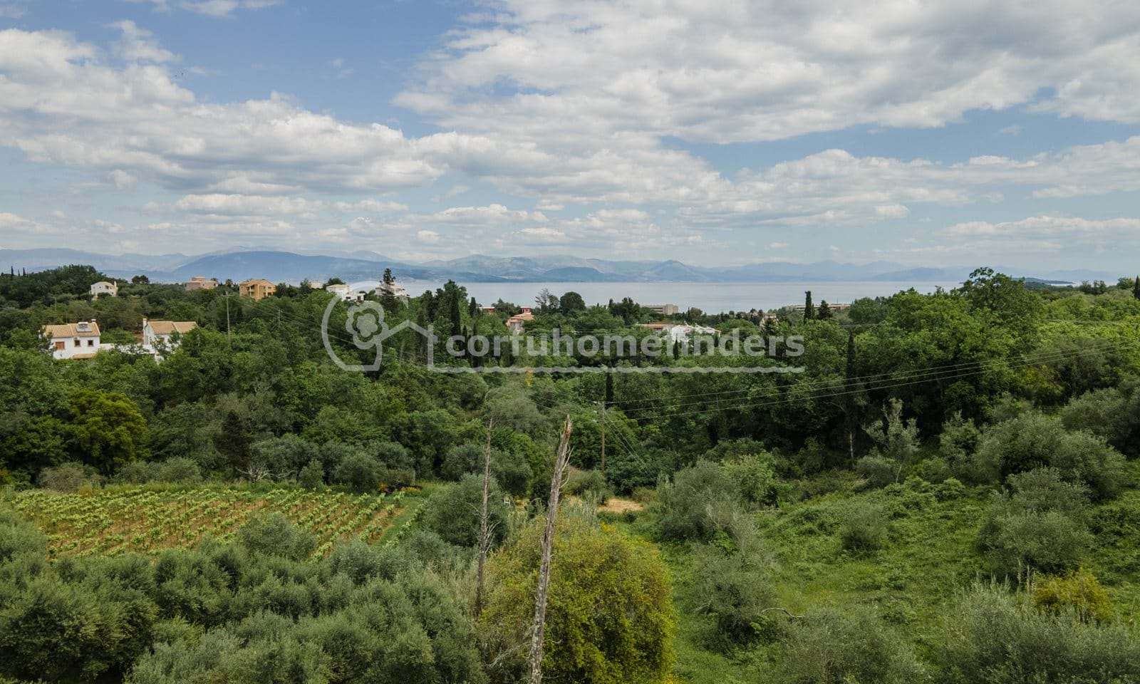 Listing photograph 2 of 4 of the land in Kato Korakiana, published by Corfu Home Finders.