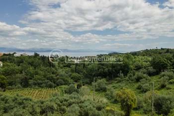 Image for property: 20946