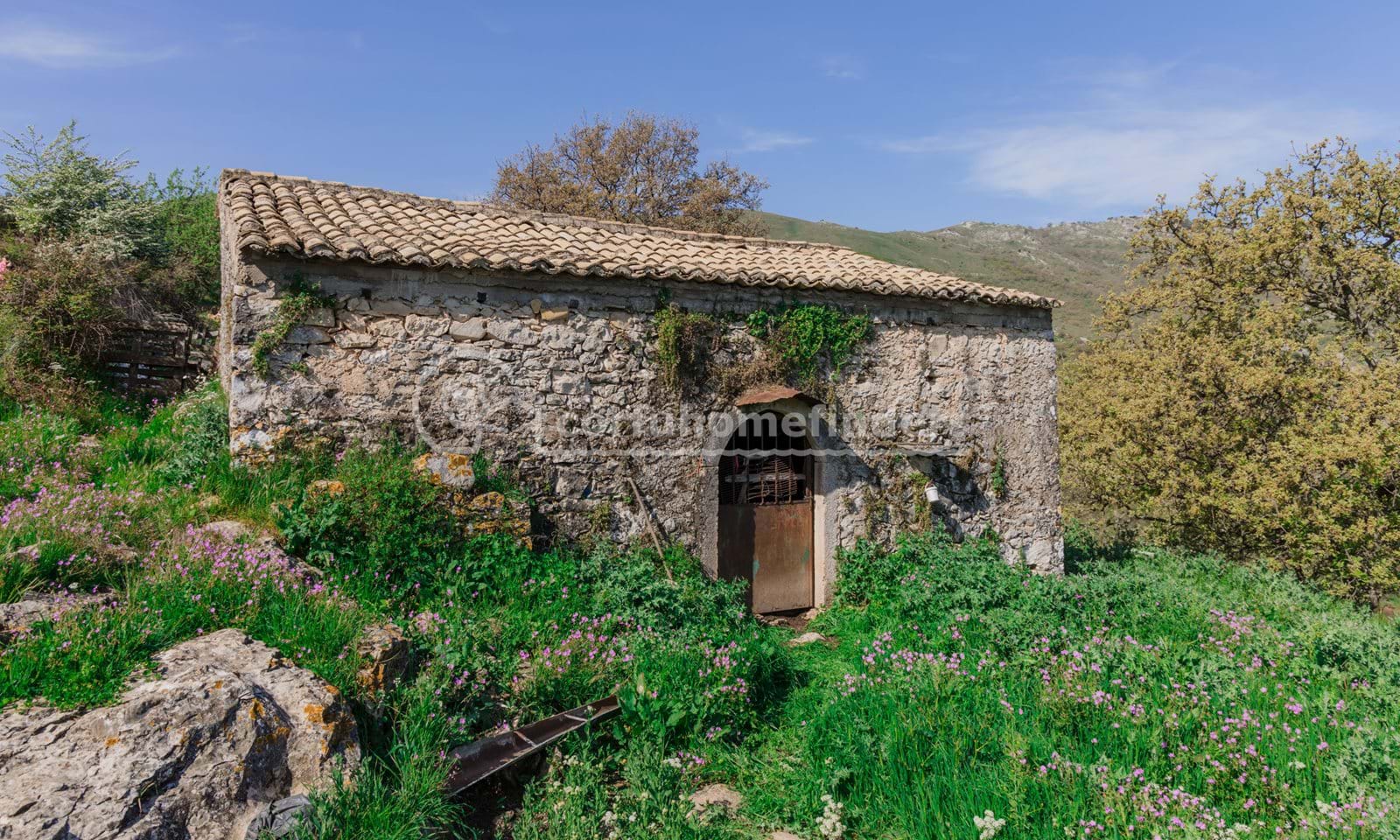 Listing photograph 3 of 10 of the land in Kassiopi, published by Corfu Home Finders.