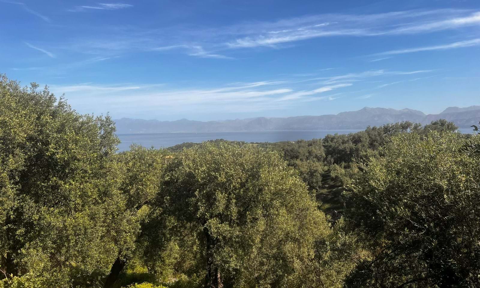 Listing photograph 4 of 6 of the land in Agios Martinos, published by Corfu Home Finders.