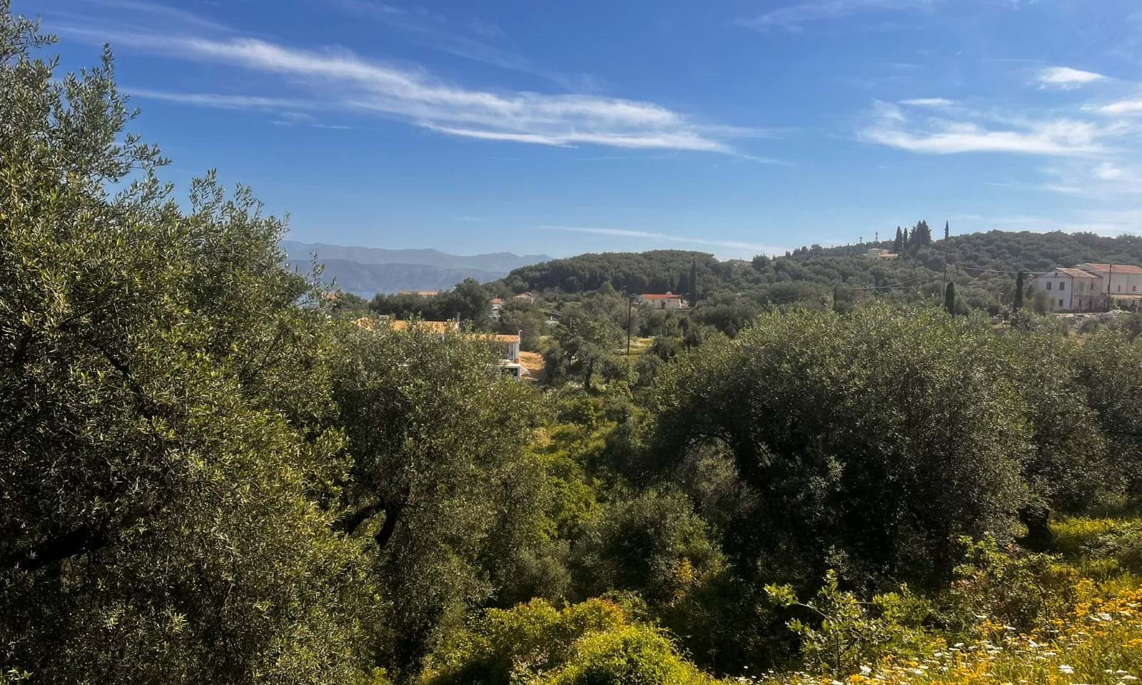 Listing photograph 5 of 6 of the land in Agios Martinos, published by Corfu Home Finders.