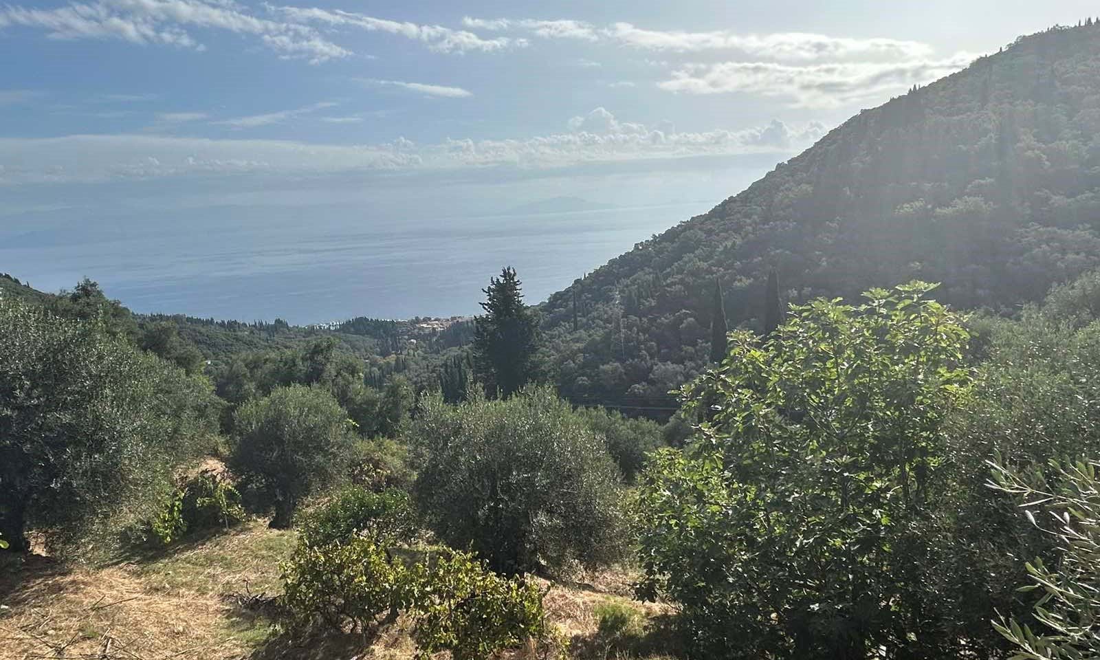 Listing photograph 2 of 2 of the land in Agii Deka, published by Corfu Home Finders.