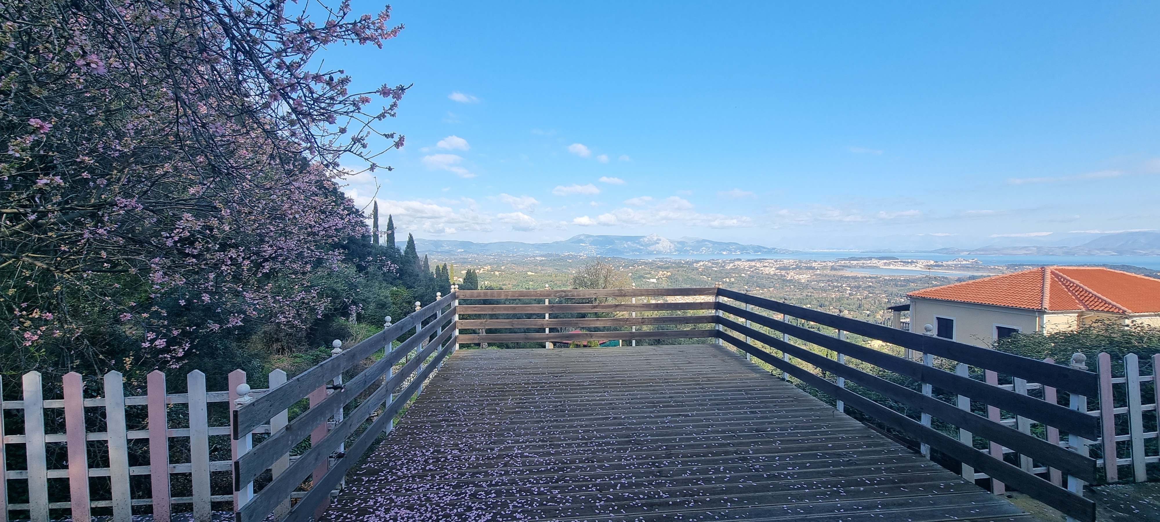 Image for property: 20971