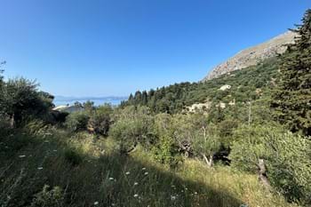 Image for property: 21000