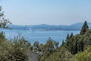 MORNOU LAND, Viglatsouri