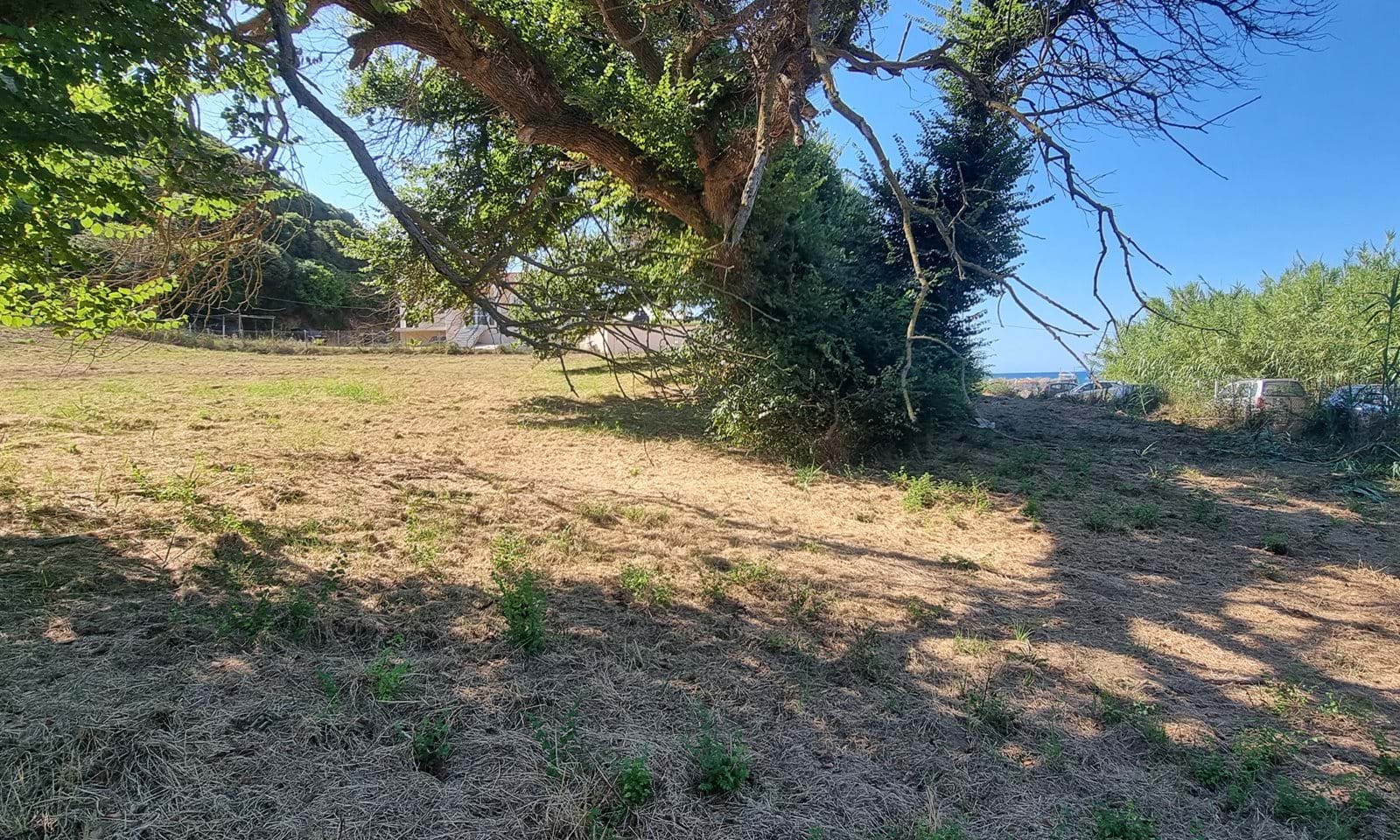 Listing photograph 9 of 10 of the land in Vitalades, published by Corfu Home Finders.