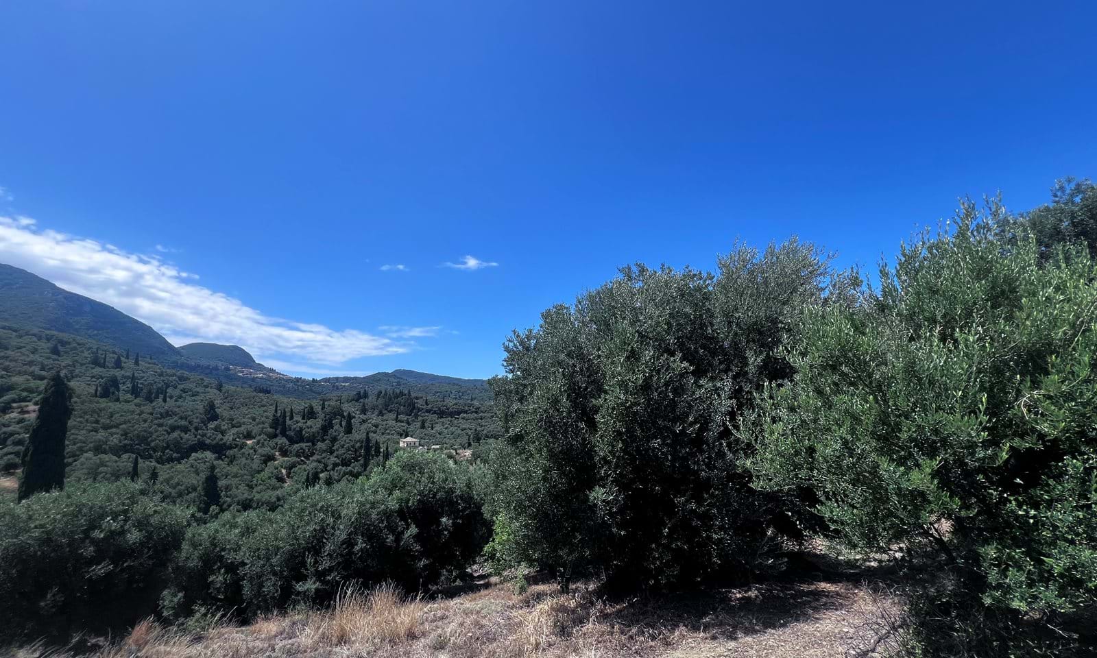 Listing photograph 1 of 4 of the land in Agios Pantaleimonas, published by Corfu Home Finders.
