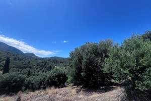 LAZARATIKA LAND, Agios Panteleimonas, Corfu