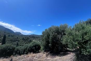 Image for property: 21028