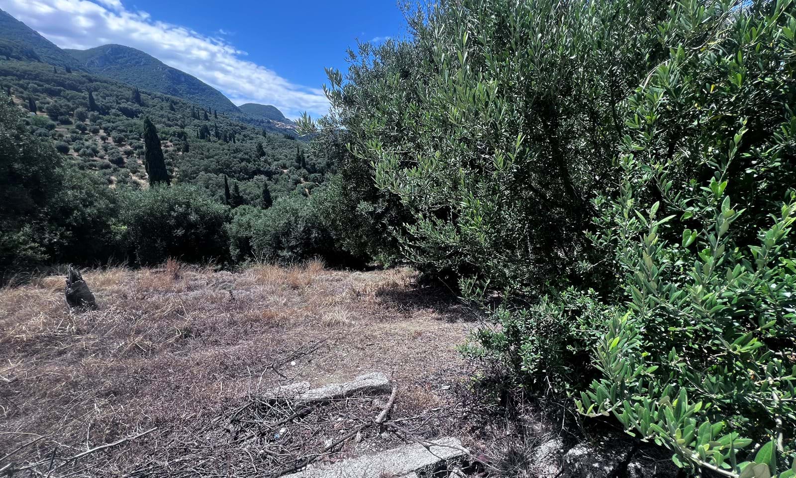 Listing photograph 2 of 4 of the land in Agios Pantaleimonas, published by Corfu Home Finders.
