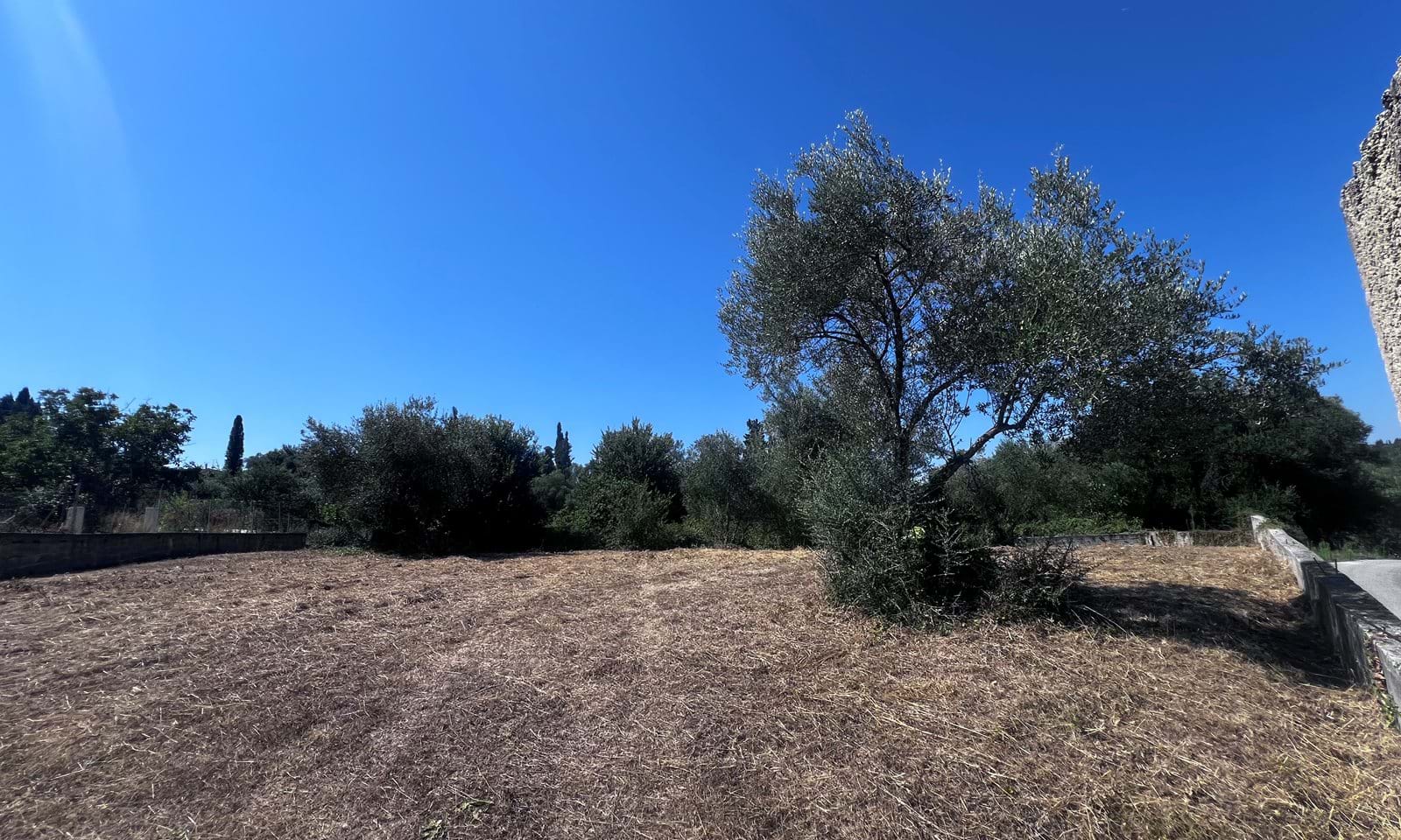 Listing photograph 1 of 3 of the land in Velonades, published by Corfu Home Finders.